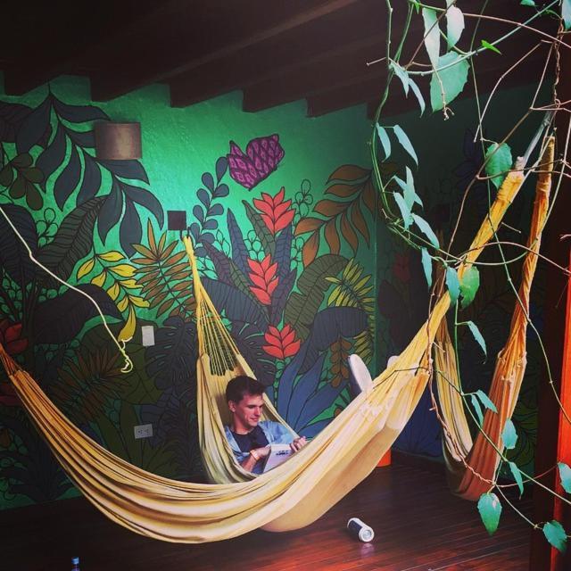 Casa Kiwi Hostel Medellín Exterior foto